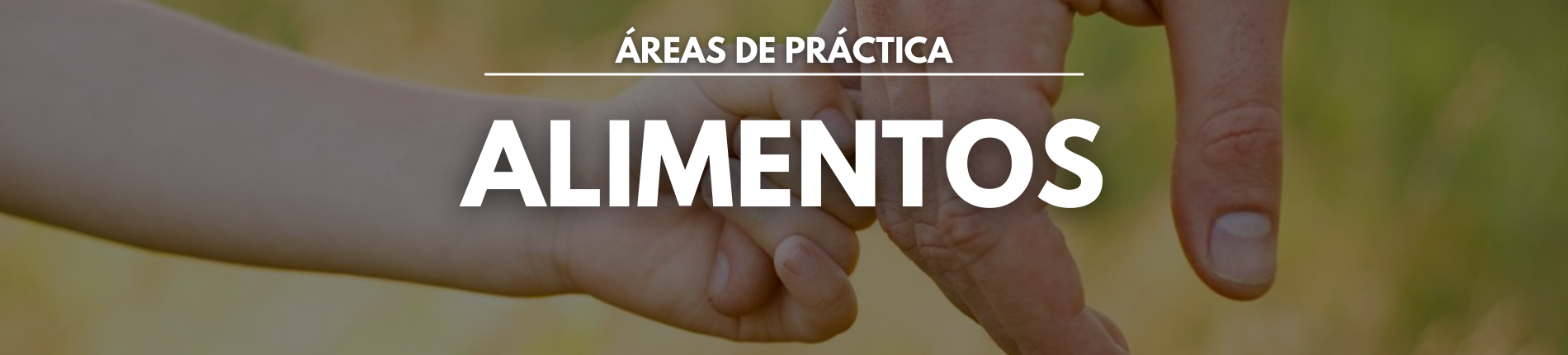 Foto con la palabra ALIMENTOS en mayúscula y un fondo con la mano de un niño agarrando el dedo índice de su progenitor.